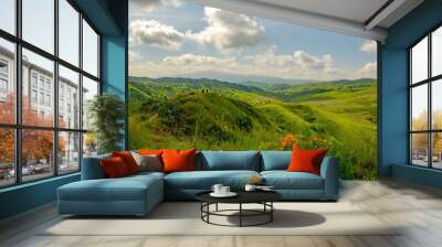 Poppies and green hills line the trails in spring at Chino Hills park Wall mural