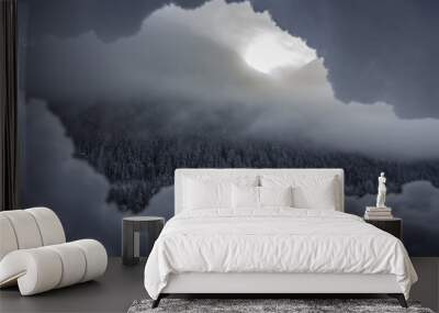 wood mountain Wall mural