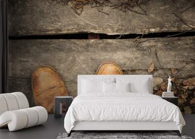 A pair of nubuck hiking boots on wooden floor with dead leaves ang twigs. Top view, empty space Wall mural