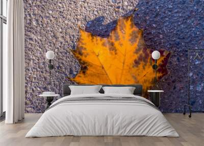 autumn yellow leaf Wall mural