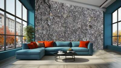 Grunge background texture of natural stone Wall mural