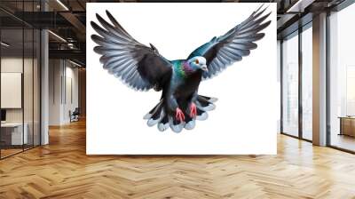 Flying pigeon isolated on transparent background  Wall mural