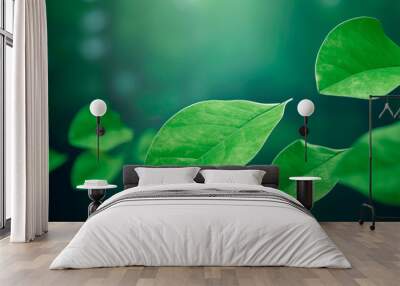 Green Floating Leaves. Flying Leaves, Dancing. Banner. Wall mural