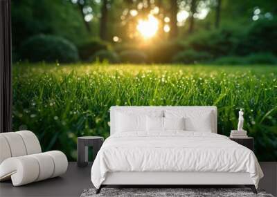 Green grass field with sunlight creating dynamic shadows close up shot Wall mural