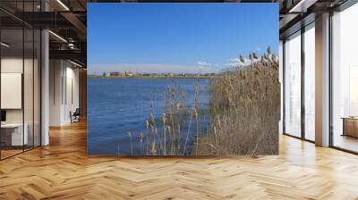 Tall dry grass by the lake 2 Wall mural