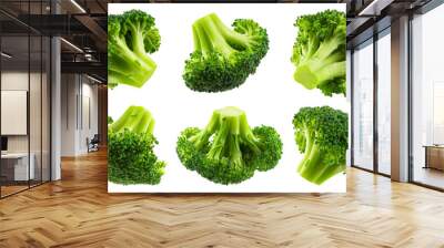 Collection of broccoli isolated on a transparent background, from different angles. Wall mural