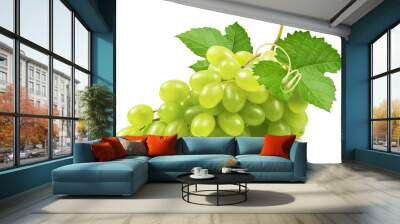 Grapes isolated. Bunch of ripe green grapes with leaves and vine on a white background. Wall mural