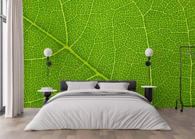 Macro nature. Green leaf background. Wall mural