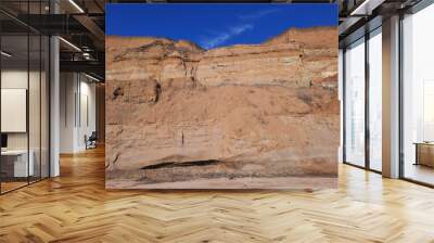 red rock canyon Wall mural