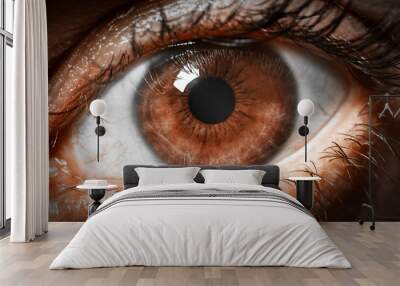 Brown human eye extreme macro shot. Wall mural