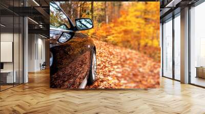 Dark car in the autumn park against the background of yellow trees. Wall mural