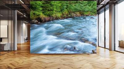 Mountain river on the background of a fir forest. Wall mural