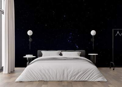 Starry night sky. Stars in the dark night sky. Wall mural