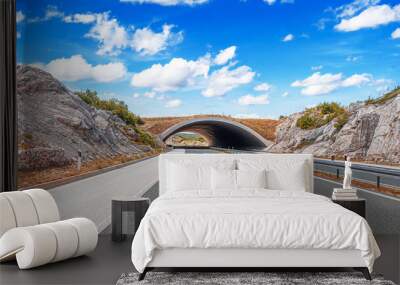 Tunnel on a highway. A tunnel in a mountain on a country highway. Wall mural