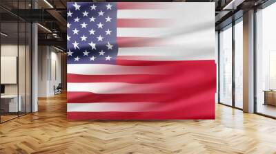 USA and Poland Wall mural