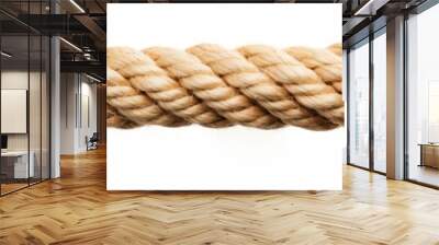 Straight rope isolated on white background Wall mural