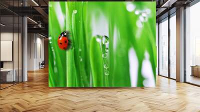 green grass Wall mural