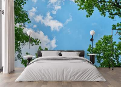 The sky through the green leaves of trees.Natural background. Wall mural