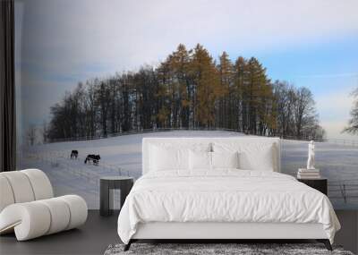 winter in the mountains Wall mural