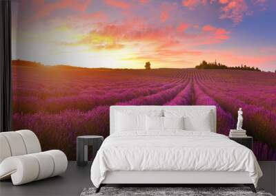 Lavender field Wall mural