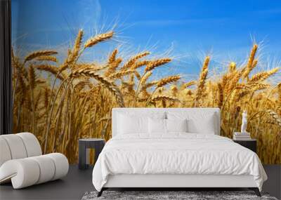 wheat Wall mural