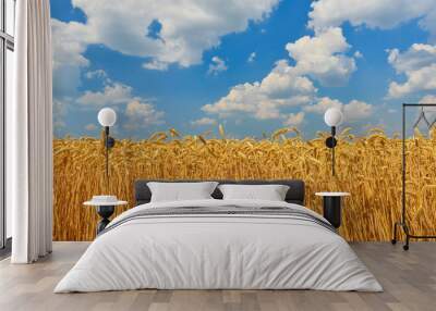 wheat Wall mural