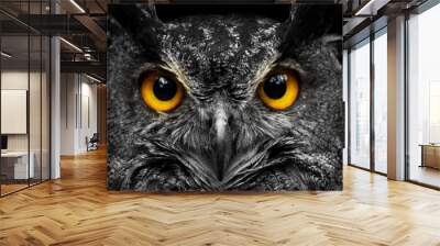 Black and white portrait owl with big yellow eyes Wall mural