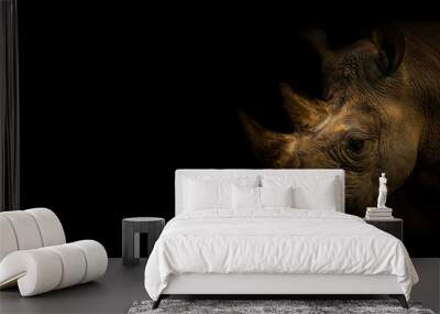 Wallpaper rhinocero on the black background Wall mural