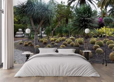 Amazing view of cactus park area in Garcia Sanabria park. Location: Cacti garden in Santa Cruz de Tenerife, Tenerife, Canary Islands Wall mural