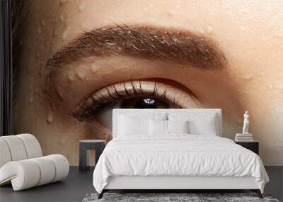 Close-up eye with black eyelashes and brown eyebrows with water drops Wall mural