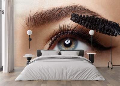 Close-up of make-up eye with long lashes with black mascara Wall mural