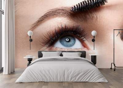 Eyebrow makeup with brush   Wall mural