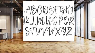 Handwritten calligraphic brush Font. English Alphabet letters. Wall mural