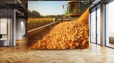 Grain auger of combine pouring corn grain into tractor trailer after harvest at field. Tractor work on corn harvest season. Farm equipment and farming machine.Agriculture concept. Wall mural