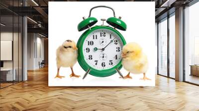 Little chickens with clock Wall mural