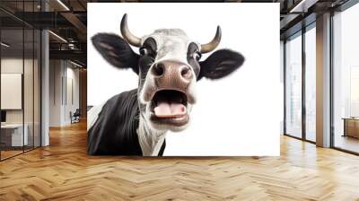 Surprised cow with goofy face mooing and looking at camera, isolated on white background. Close up portrait of funny animal. Wall mural