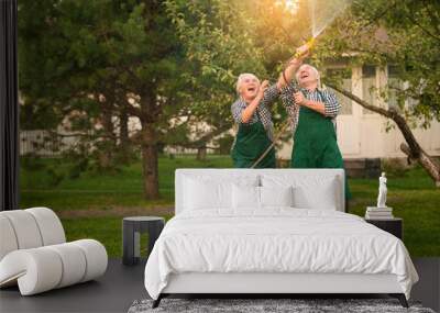 Elderly people having fun. Cheerful couple with garden hose. Wall mural