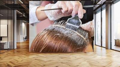 Hair dying close up. Brush applying hair color. Wall mural