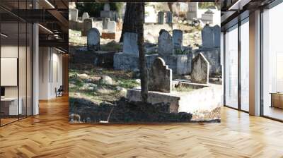 Islamic old historical gravestones in a cemetery. An ancient graveyard background. Antalya, Turkey. Wall mural