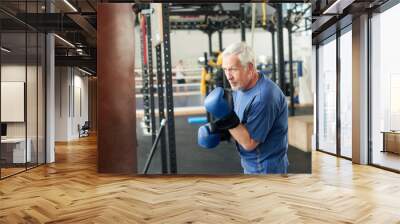 Senior male boxer ready to fight. Senior boxer in gloves boxing in gym. Wall mural