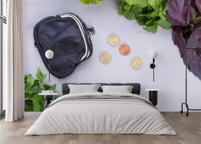 Wallet, coins and green organic food. Green fresh herbs, purse, money and copy space. Pension and healthy food. Wall mural