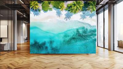 aerial view of a tropical beach with palms, white sand and crystal clear turquoise ocean water washi Wall mural