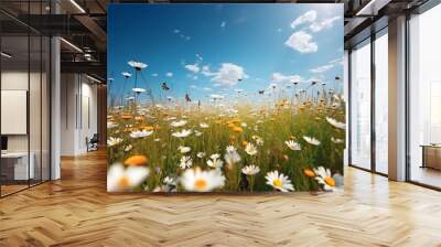 Banner panorama of wild flowers of daisies in a yellow summer field in nature. Wall mural