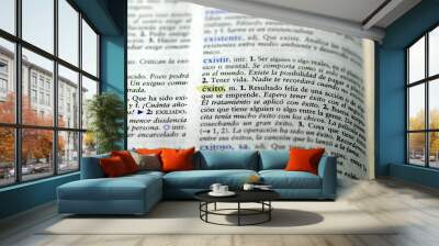 Picture of Spanish dictionary word for success Wall mural