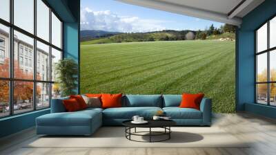 Large field of cut grass or wheat with an orchard on the hills in background with white puffy clouds in crisp blue sky Wall mural