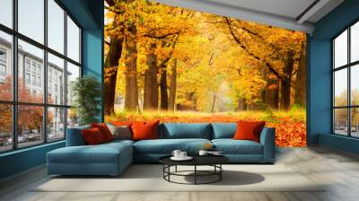 Beautiful autumn forest in national park 'De hoge Veluwe' in the Netherlands Wall mural