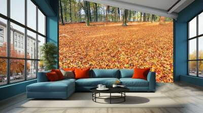 Beautiful vibrant colored leaves on the forest floor in autumn in the Netherlands Wall mural