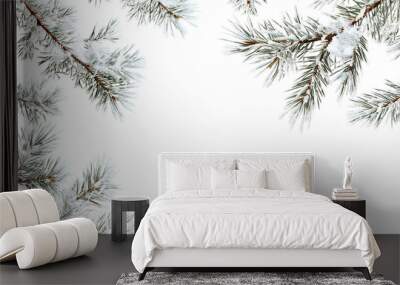 Snow-covered pine branches isolated on a white background. Wall mural