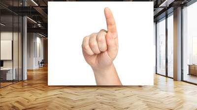 isolated male hand touching or pointing to something Wall mural