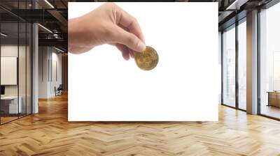 bitcoin financial investment in hand Wall mural